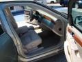 Light Platinum - DeVille Sedan Photo No. 15