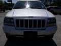 Bright Silver Metallic - Grand Cherokee Special Edition Photo No. 3