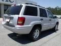 Bright Silver Metallic - Grand Cherokee Special Edition Photo No. 8