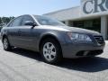Willow Gray - Sonata GLS Photo No. 2