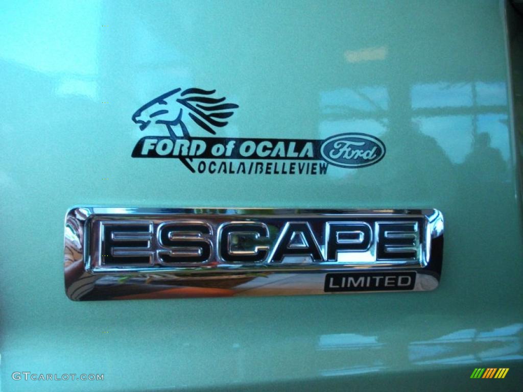 2010 Escape Hybrid - Kiwi Green Metallic / Stone photo #4