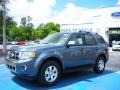 2010 Steel Blue Metallic Ford Escape Limited V6  photo #1