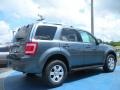 2010 Steel Blue Metallic Ford Escape Limited V6  photo #3