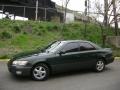 Woodland Green Pearl - ES 300 Photo No. 1