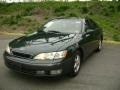 Woodland Green Pearl - ES 300 Photo No. 5