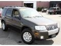 Charcoal Beige Metallic - Mariner Luxury 4WD Photo No. 3