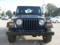 2004 Patriot Blue Pearl Jeep Wrangler X 4x4  photo #8