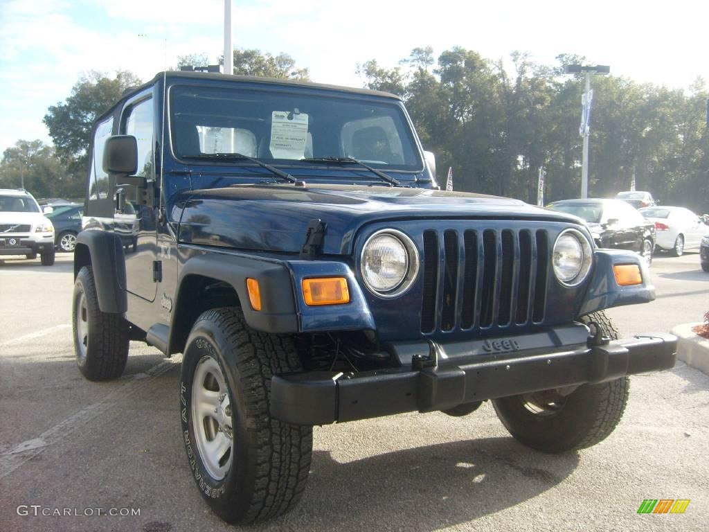 2004 Wrangler X 4x4 - Patriot Blue Pearl / Dark Slate Gray photo #9