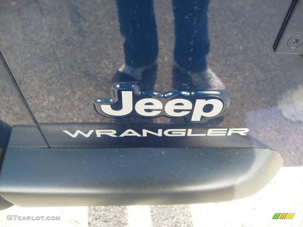 2004 Wrangler X 4x4 - Patriot Blue Pearl / Dark Slate Gray photo #10
