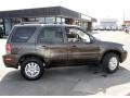 Charcoal Beige Metallic - Mariner Luxury 4WD Photo No. 7