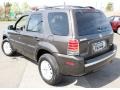 Charcoal Beige Metallic - Mariner Luxury 4WD Photo No. 10
