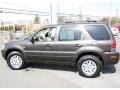 Charcoal Beige Metallic - Mariner Luxury 4WD Photo No. 11