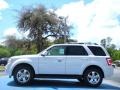 2010 White Suede Ford Escape Limited V6  photo #2