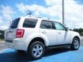 2010 White Suede Ford Escape Limited V6  photo #3