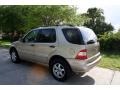 2004 Desert Silver Metallic Mercedes-Benz ML 350 4Matic  photo #5