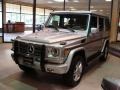 Iridium Silver Metallic - G 550 Photo No. 3
