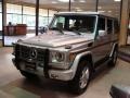 2010 Iridium Silver Metallic Mercedes-Benz G 550  photo #3