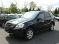 Black - ML 350 4Matic Photo No. 1