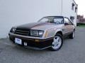 Pewter Metallic - Mustang Indianapolis 500 Official Pace Car Photo No. 1