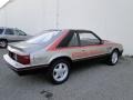 Pewter Metallic - Mustang Indianapolis 500 Official Pace Car Photo No. 10