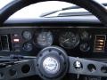 Pewter Metallic - Mustang Indianapolis 500 Official Pace Car Photo No. 30