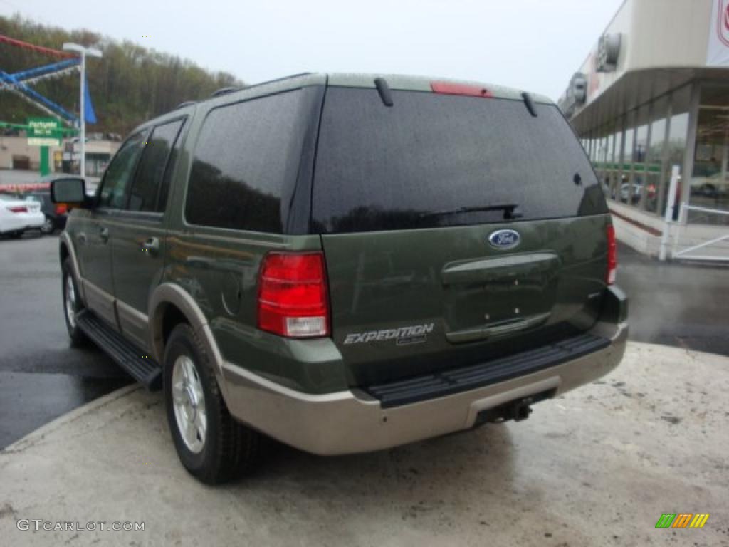 2003 Expedition Eddie Bauer 4x4 - Estate Green Metallic / Medium Parchment photo #2