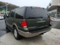 2003 Estate Green Metallic Ford Expedition Eddie Bauer 4x4  photo #2