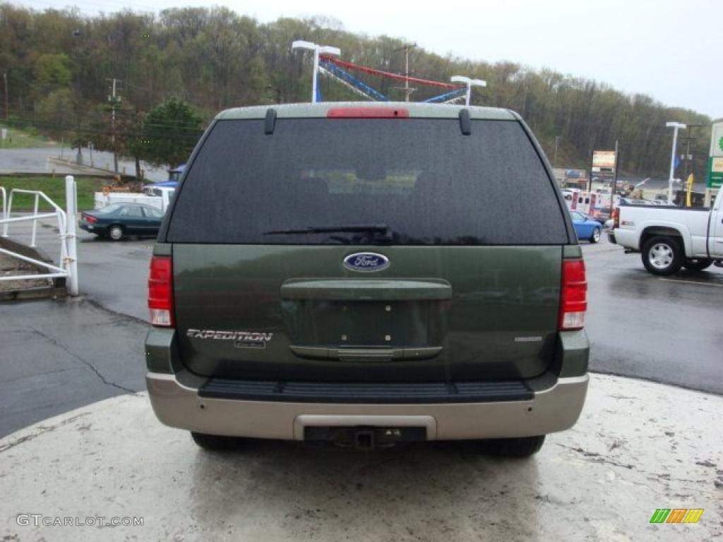 2003 Expedition Eddie Bauer 4x4 - Estate Green Metallic / Medium Parchment photo #3