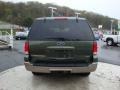 2003 Estate Green Metallic Ford Expedition Eddie Bauer 4x4  photo #3