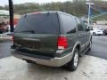 2003 Estate Green Metallic Ford Expedition Eddie Bauer 4x4  photo #4