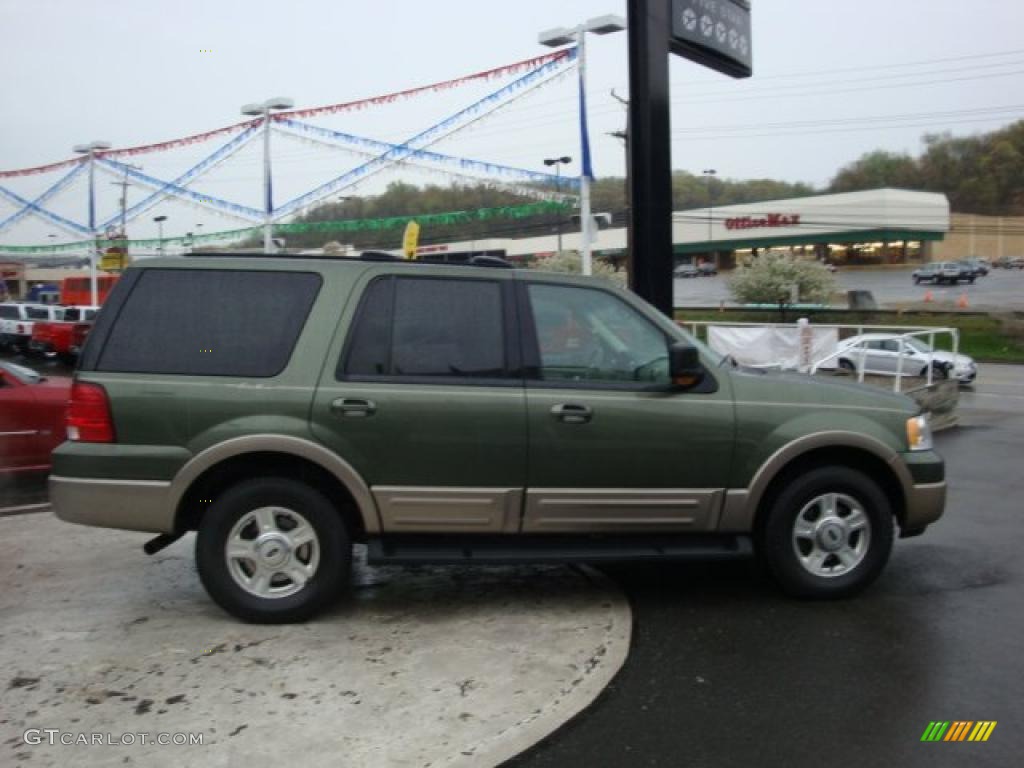 2003 Expedition Eddie Bauer 4x4 - Estate Green Metallic / Medium Parchment photo #5
