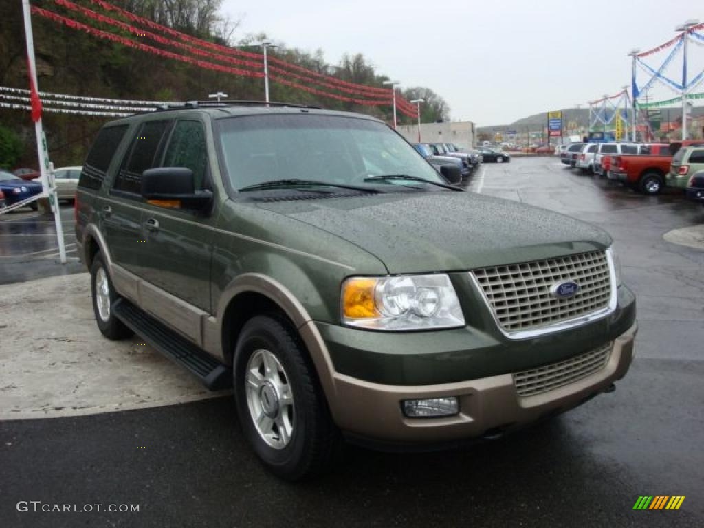 2003 Expedition Eddie Bauer 4x4 - Estate Green Metallic / Medium Parchment photo #6