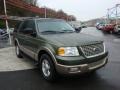 2003 Estate Green Metallic Ford Expedition Eddie Bauer 4x4  photo #6