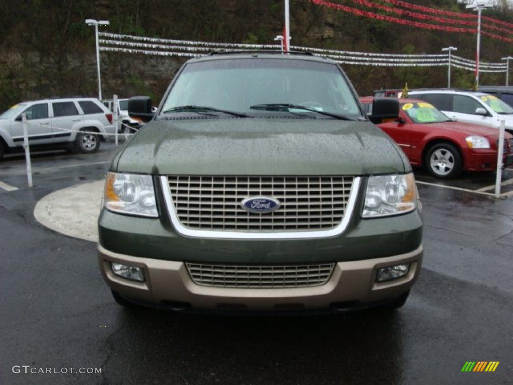 2003 Expedition Eddie Bauer 4x4 - Estate Green Metallic / Medium Parchment photo #7