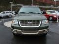 2003 Estate Green Metallic Ford Expedition Eddie Bauer 4x4  photo #7