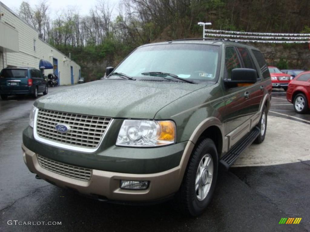 2003 Expedition Eddie Bauer 4x4 - Estate Green Metallic / Medium Parchment photo #8