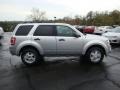 2010 Ingot Silver Metallic Ford Escape XLT V6 4WD  photo #2