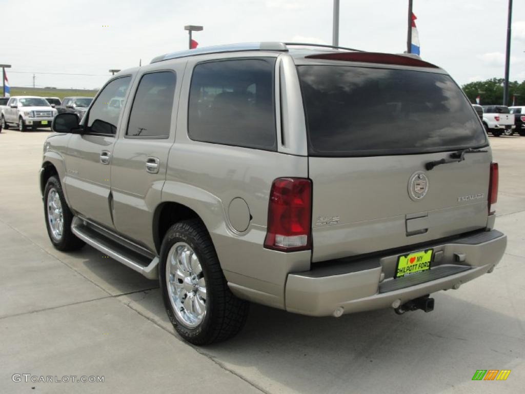 2003 Escalade  - Silver Sand / Shale photo #5