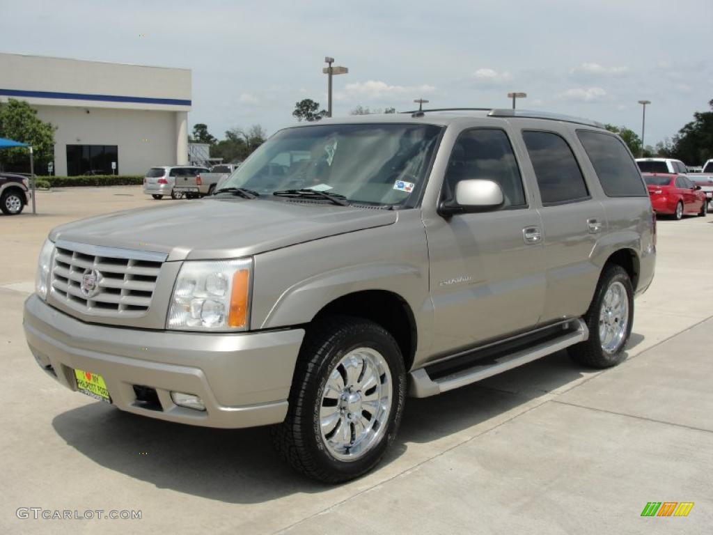 2003 Escalade  - Silver Sand / Shale photo #7