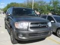 2007 Phantom Gray Pearl Toyota Sequoia SR5  photo #6