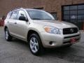 Savannah Metallic - RAV4 4WD Photo No. 1