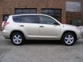 Savannah Metallic - RAV4 4WD Photo No. 2