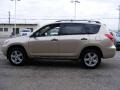 Savannah Metallic - RAV4 4WD Photo No. 6