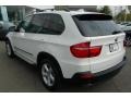 Alpine White - X5 3.0si Photo No. 10
