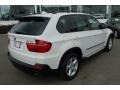 Alpine White - X5 3.0si Photo No. 15