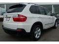 Alpine White - X5 3.0si Photo No. 16