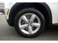 Alpine White - X5 3.0si Photo No. 21