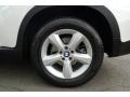 Alpine White - X5 3.0si Photo No. 22