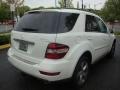 2009 Arctic White Mercedes-Benz ML 320 BlueTec 4Matic  photo #7