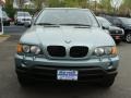 2003 Grey Green Metallic BMW X5 3.0i  photo #2